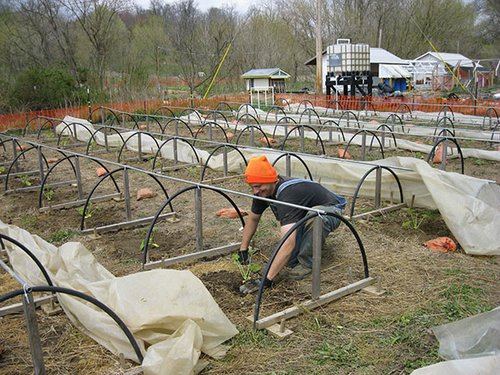 Farmer planting crops