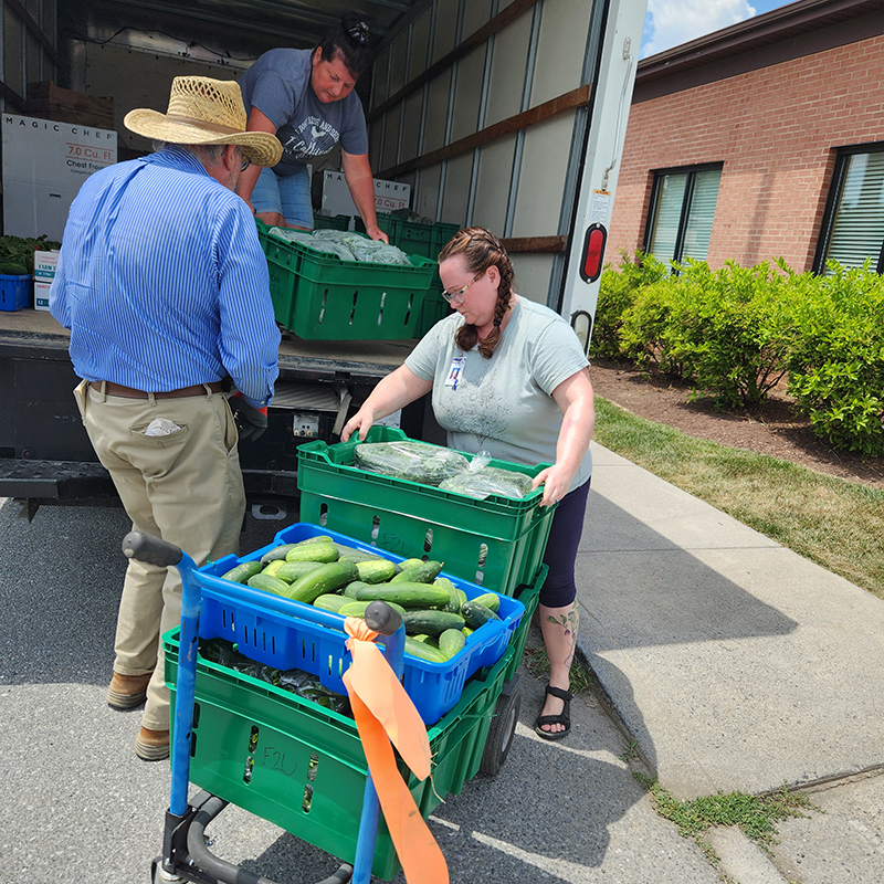 Loading Veggies onto Truck